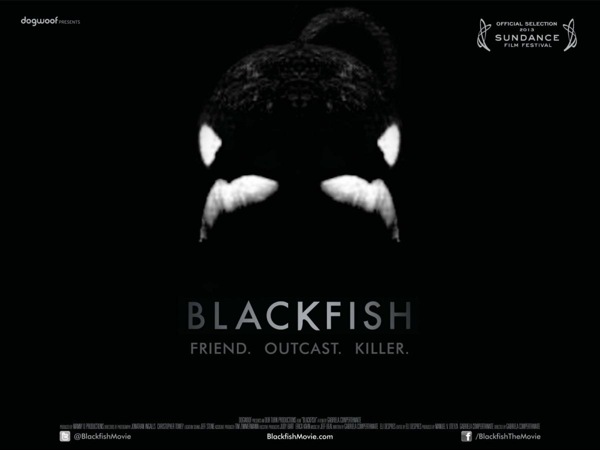 seaworld rebuttal to blackfish