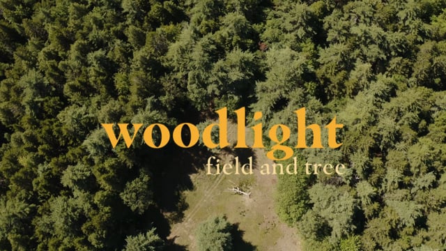 Woodlight: Field and Tree